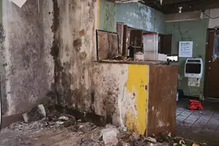 251 E Haines St, Philadelphia, PA 19144 - Photo 4