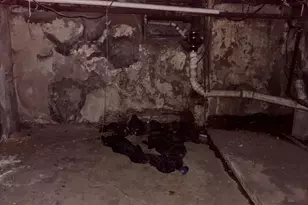 4745 A St, Philadelphia, PA 19120 - Photo 12