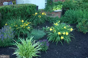 9204 Burbank Rd, Philadelphia, PA 19115 - Photo 38