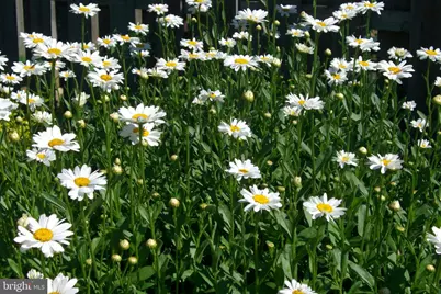 9204 Burbank Road, Philadelphia, PA 19115 - Photo 28