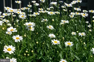 9204 Burbank Rd, Philadelphia, PA 19115 - Photo 28