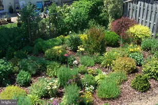 9204 Burbank Rd, Philadelphia, PA 19115 - Photo 34