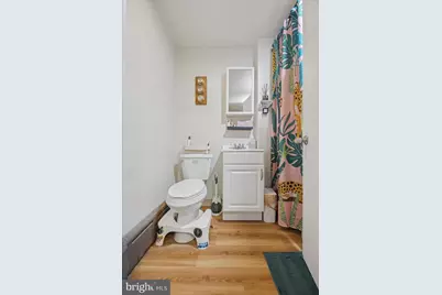 141 Dupont Street, Philadelphia, PA 19127 - Photo 8