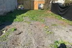 4545 Hedge St, Philadelphia, PA 19124 - Photo 2