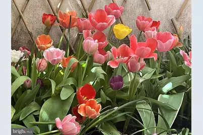 422 S Camac Street, Philadelphia, PA 19147 - Photo 8