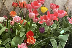 422 S Camac St, Philadelphia, PA 19147 - Photo 8