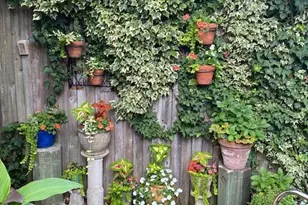 230 Morris St, Philadelphia, PA 19148 - Photo 24