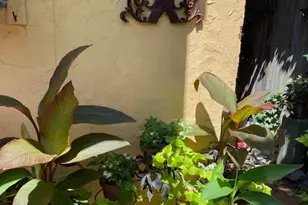 230 Morris St, Philadelphia, PA 19148 - Photo 30