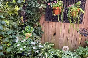 230 Morris St, Philadelphia, PA 19148 - Photo 28