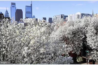 1631 Green Street #E, Philadelphia, PA 19130 - Photo 4