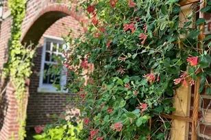 469 W Ellet St, Philadelphia, PA 19119 - Photo 8