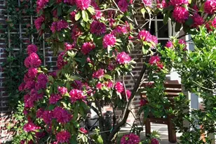 469 W Ellet St, Philadelphia, PA 19119 - Photo 12