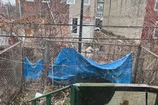 3751 N Sydenham St, Philadelphia, PA 19140 - Photo 16