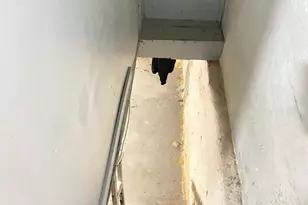 664 E Wensley St, Philadelphia, PA 19134 - Photo 24