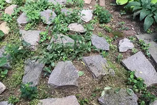 523 N Budd St, Philadelphia, PA 19104 - Photo 46