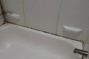 231 W Albanus St, Philadelphia, PA 19120 - Photo 14