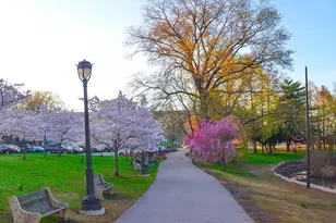 3211 W Montgomery Ave, Philadelphia, PA 19121 - Photo 40