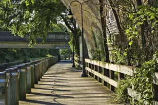 151 Levering St, Philadelphia, PA 19127 - Photo 60