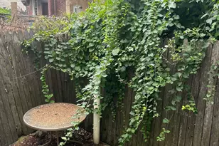 1539 W Tucker St, Philadelphia, PA 19132 - Photo 16