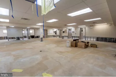 53 E Armat Street, Philadelphia, PA 19144 - Photo 54