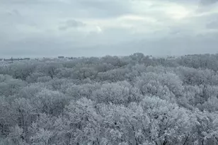 3600 Conshohocken Ave, Philadelphia, PA 19131 - Photo 12