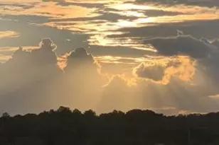 263 Hermitage St, Philadelphia, PA 19127 - Photo 50