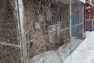 5801 Brush Rd, Philadelphia, PA 19138 - Photo 32