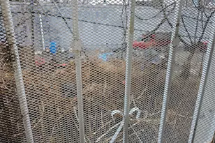 1214 W Erie Ave, Philadelphia, PA 19140 - Photo 6