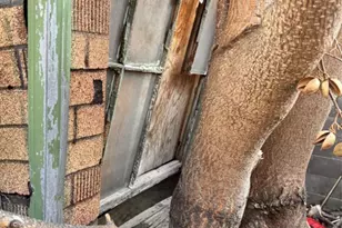 [Address not provided], Philadelphia, PA 19132 - Photo 10