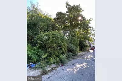 149 E Herman Street, Philadelphia, PA 19144 - Photo 10