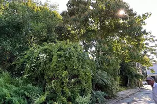 149 E Herman St, Philadelphia, PA 19144 - Photo 10