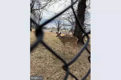 8836 Cottage Street, Philadelphia, PA 19136 - Photo 36