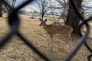 8836 Cottage St, Philadelphia, PA 19136 - Photo 36