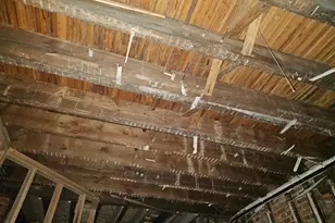 1325 W Roosevelt Blvd, Philadelphia, PA 19140 - Photo 16