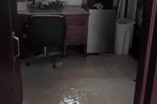 1629 Murdoch Rd, Philadelphia, PA 19150 - Photo 8