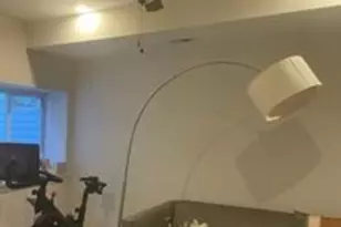 534 Green Ln, Philadelphia, PA 19128 - Photo 22