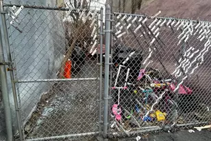 1218 W Firth St, Philadelphia, PA 19133 - Photo 2