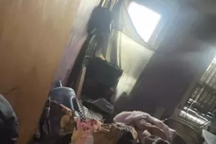 1218 W Firth St, Philadelphia, PA 19133 - Photo 4