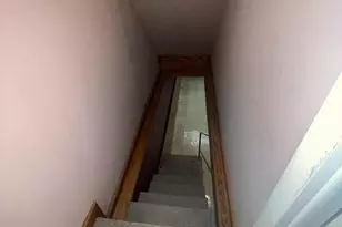 1337 Bleigh Ave, Philadelphia, PA 19111 - Photo 44