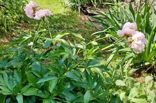 4341 Germantown Ave, Philadelphia, PA 19140 - Photo 26