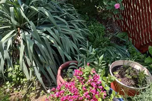 4341 Germantown Ave, Philadelphia, PA 19140 - Photo 24