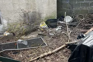 2468 N Dover St, Philadelphia, PA 19132 - Photo 26