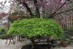 7713 Cherokee St, Philadelphia, PA 19118 - Photo 32