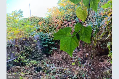 817 N Brooklyn Street, Philadelphia, PA 19104 - Photo 8