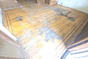 4026 Higbee St, Philadelphia, PA 19135 - Photo 8