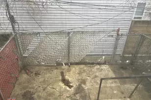 613 N 56th St, Philadelphia, PA 19131 - Photo 12