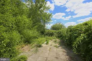 219 Hermitage St, Philadelphia, PA 19127 - Photo 12