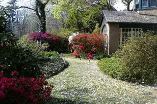 3130 W Penn St, Philadelphia, PA 19129 - Photo 4