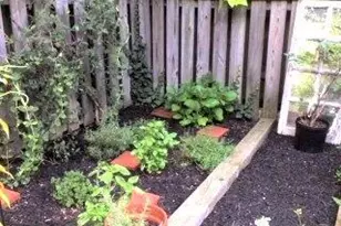 3130 W Penn St, Philadelphia, PA 19129 - Photo 48