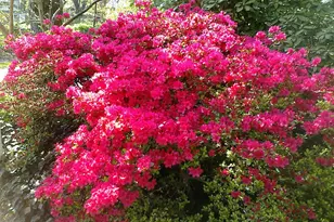 3130 W Penn St, Philadelphia, PA 19129 - Photo 46